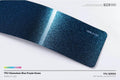 Chameleon Blue Purple Green