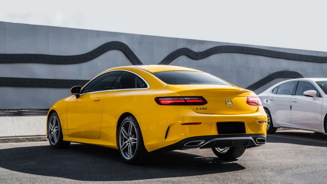 Sunflower Yellow