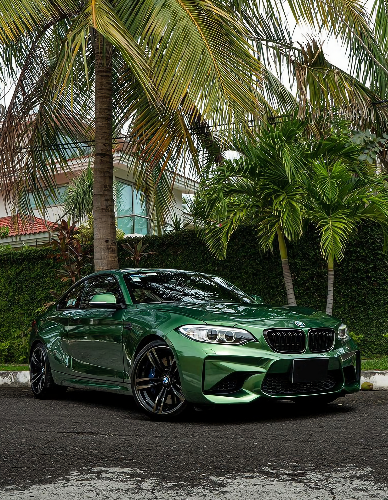Metal Sonoma Green