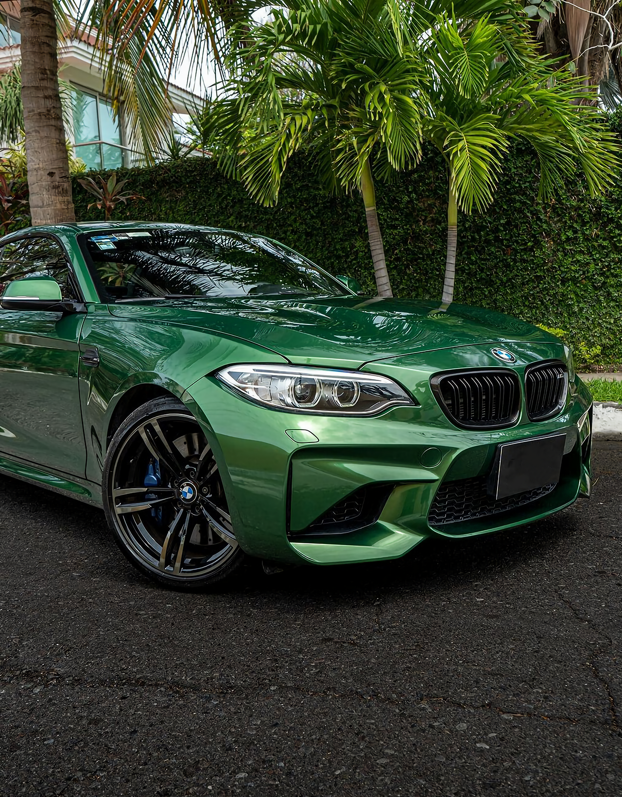 Metal Sonoma Green