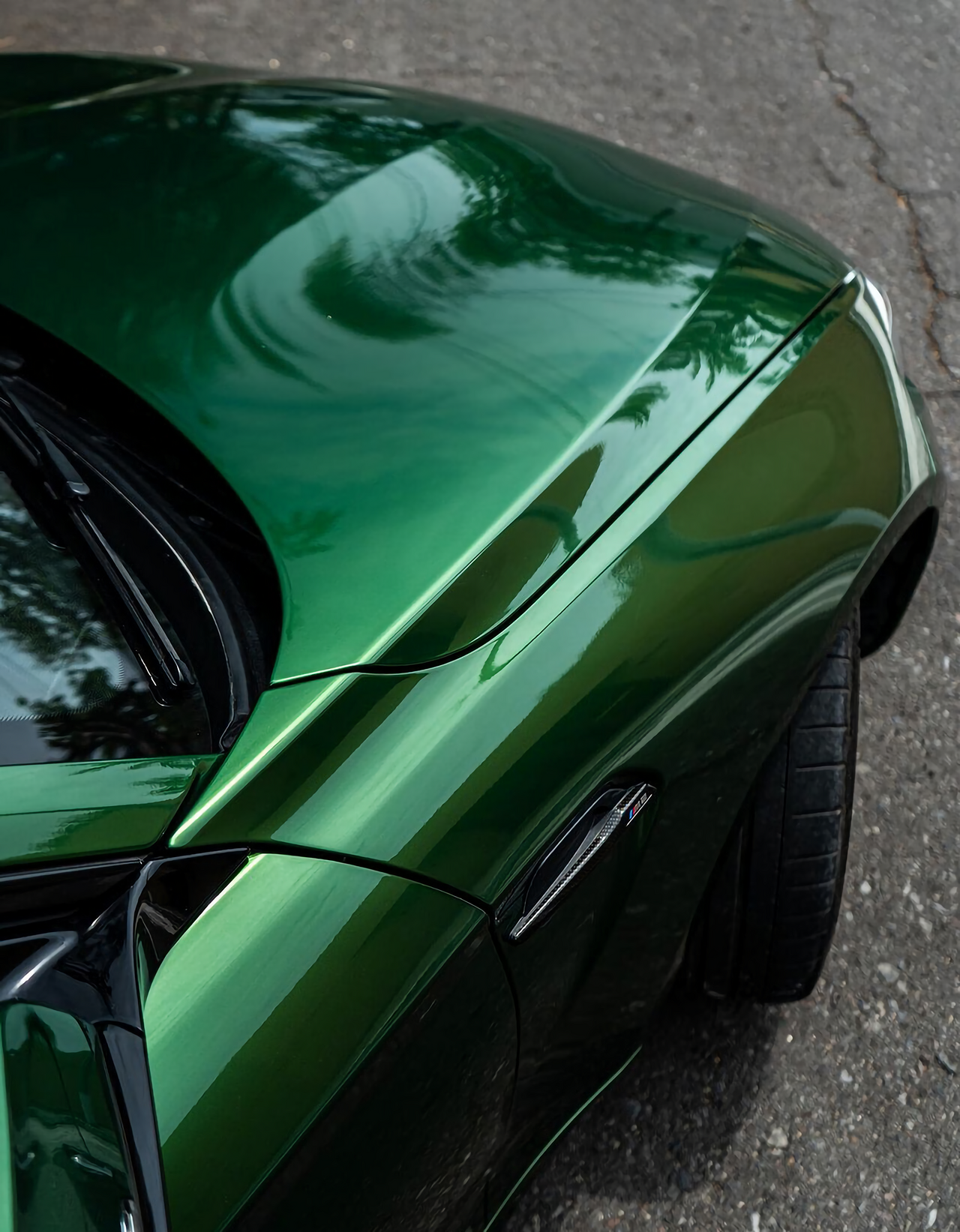 Metal Sonoma Green