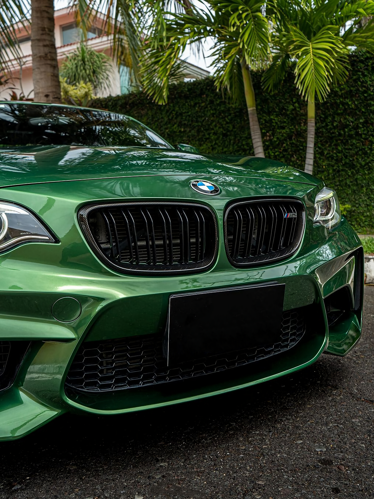 Metal Sonoma Green