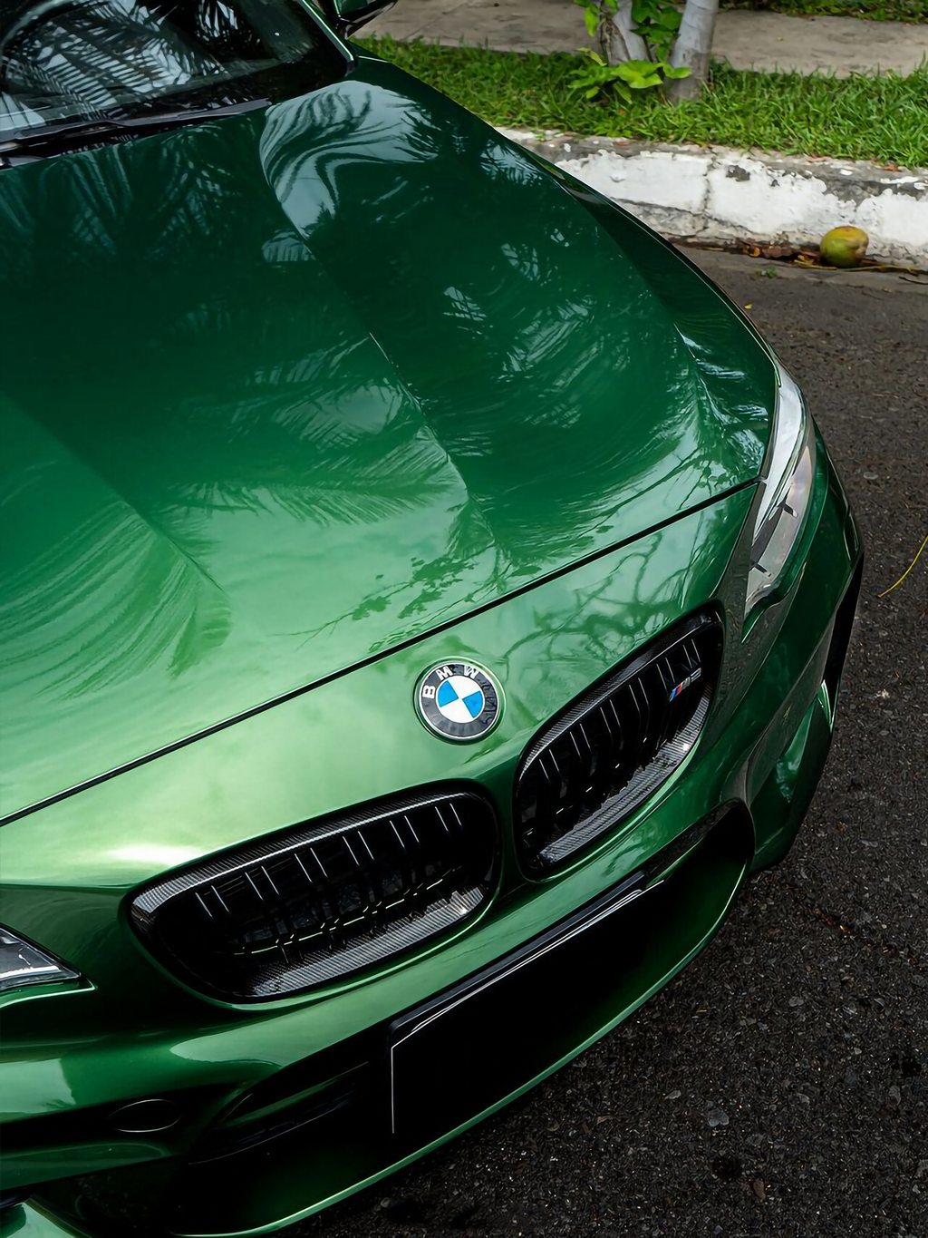 Metal Sonoma Green