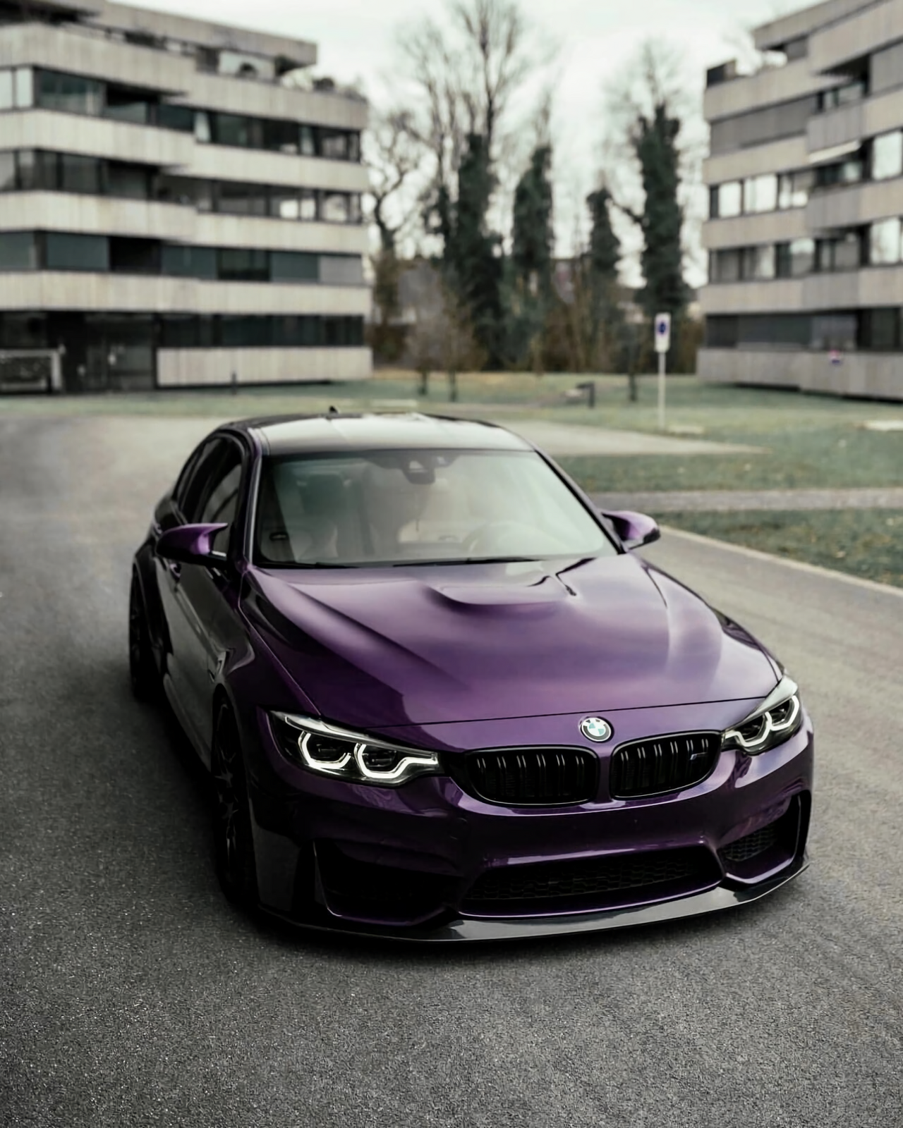 Metal Midnight Purple