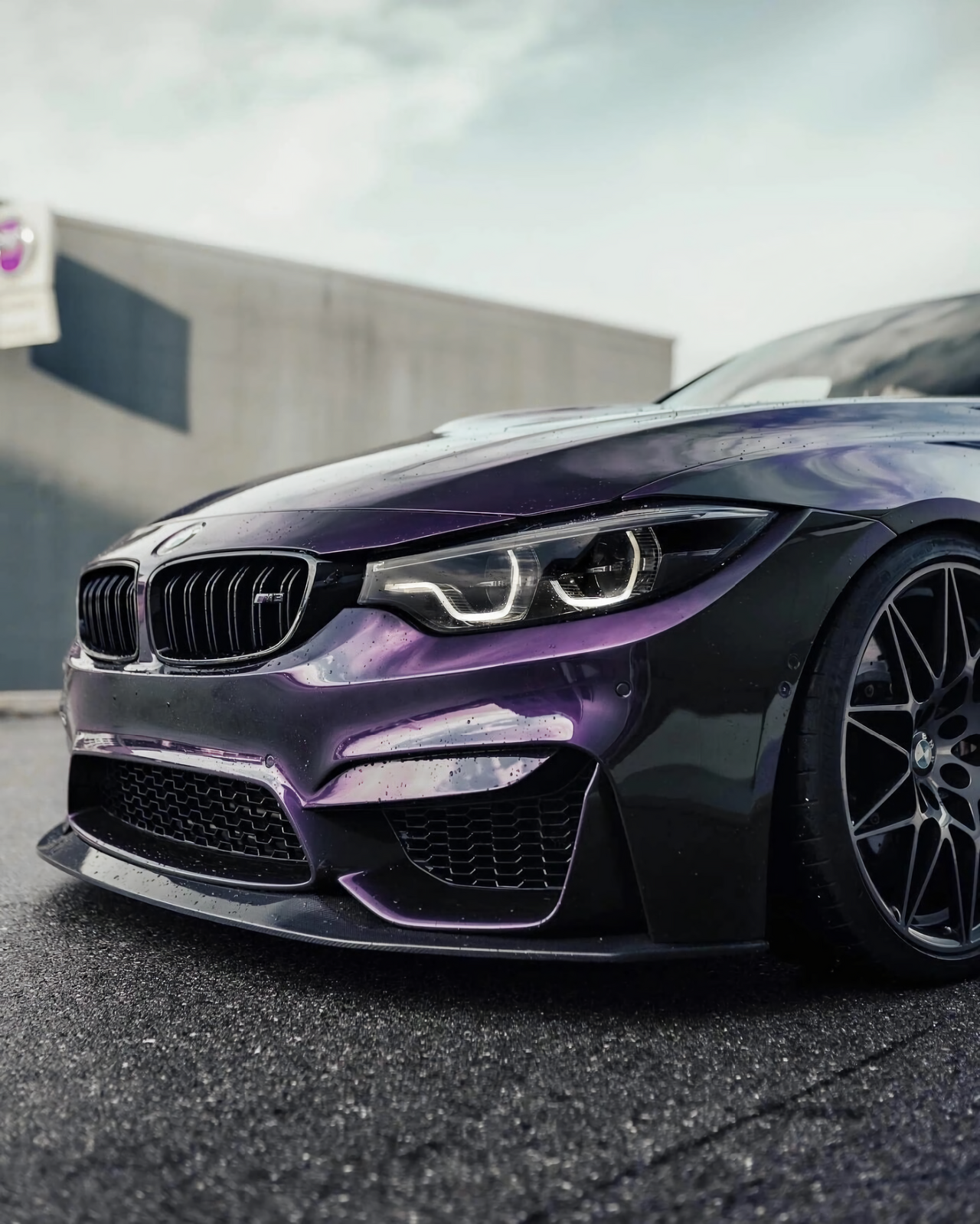 Metal Midnight Purple