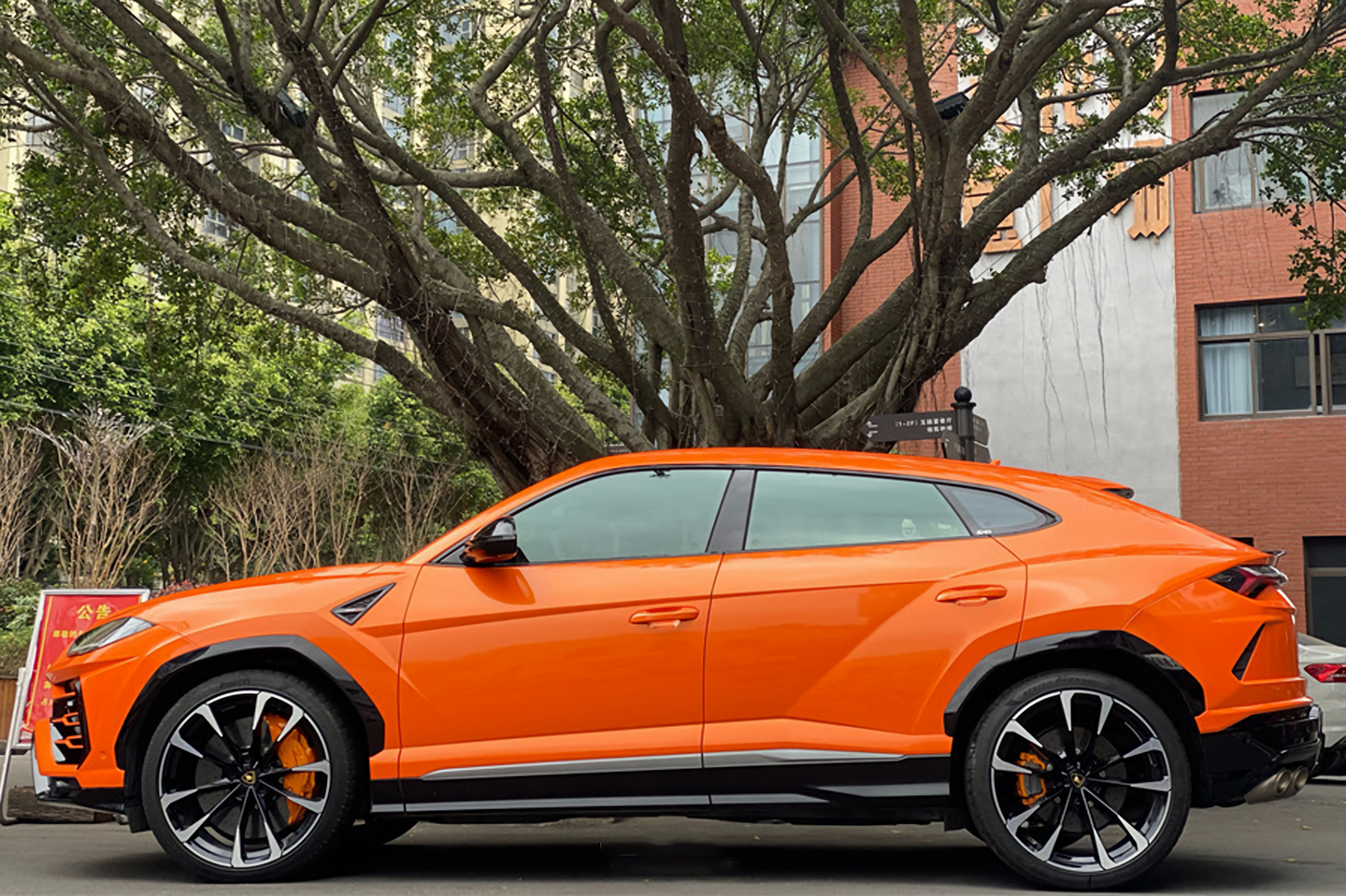 Racing Orange