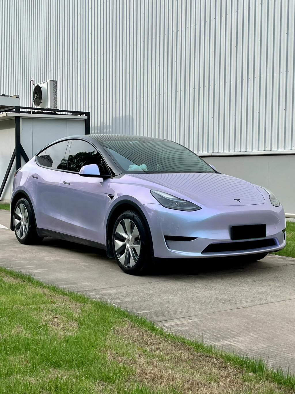 Silver Magic Purple