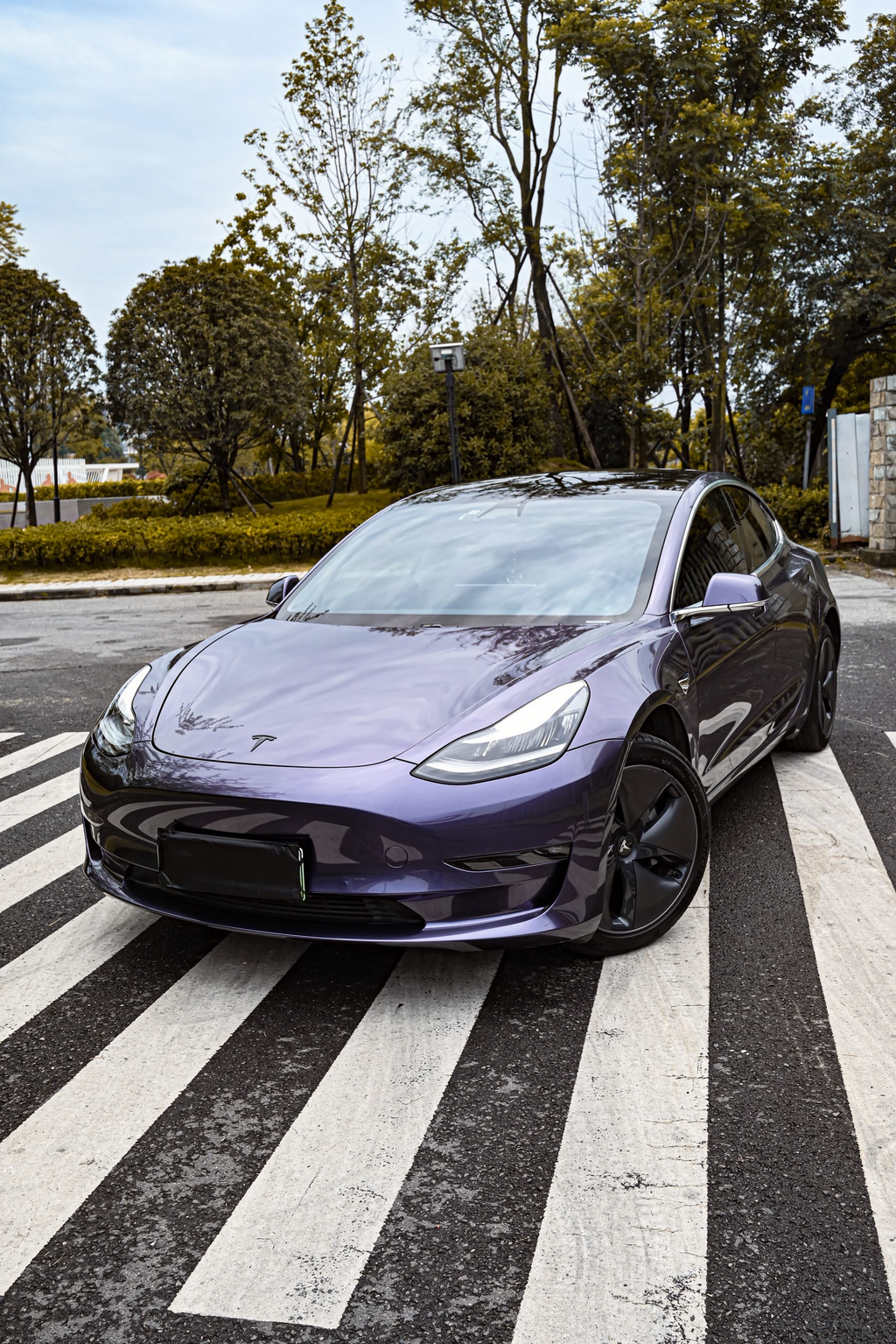 Gray Violet