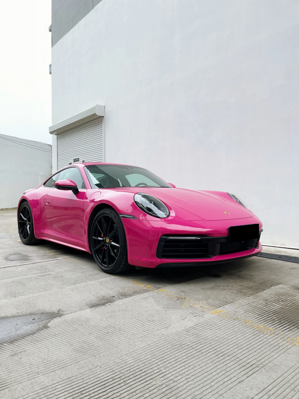 BeetRoot Purple