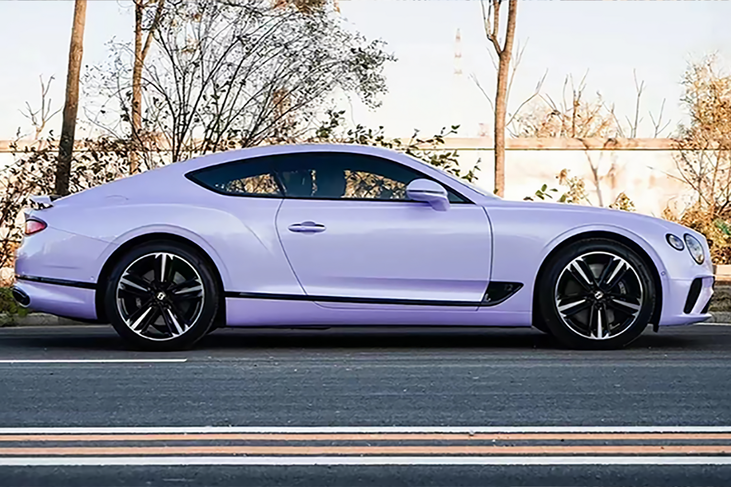 Xingdai Purple