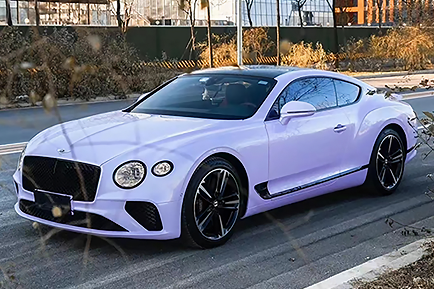 Xingdai Purple
