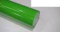 Lizard Green